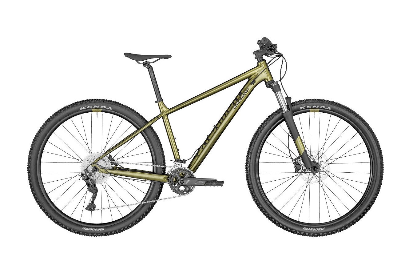Bergamont Revox 6