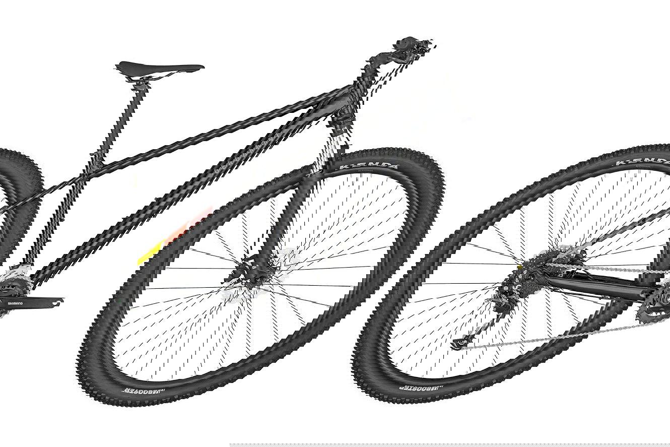 Bergamont Revox 4