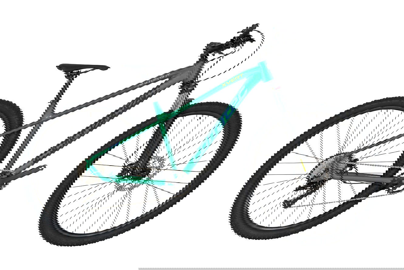 Corratec X Vert Elite