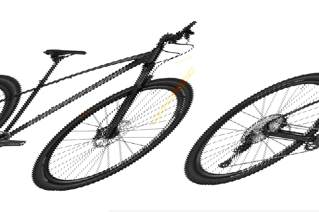 Corratec X Vert Pro Team