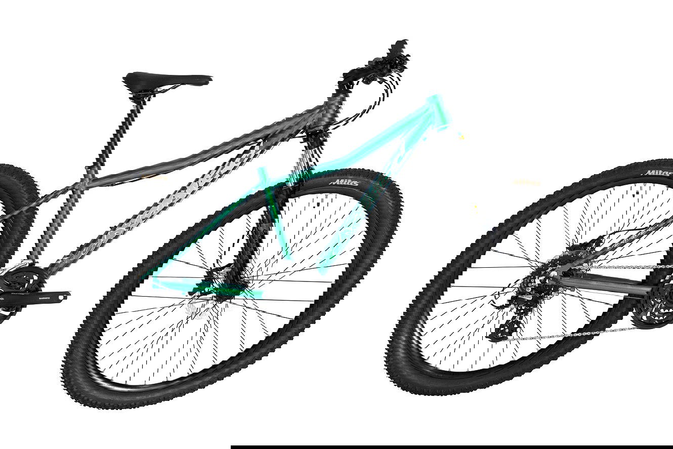 Corratec X Vert Rock