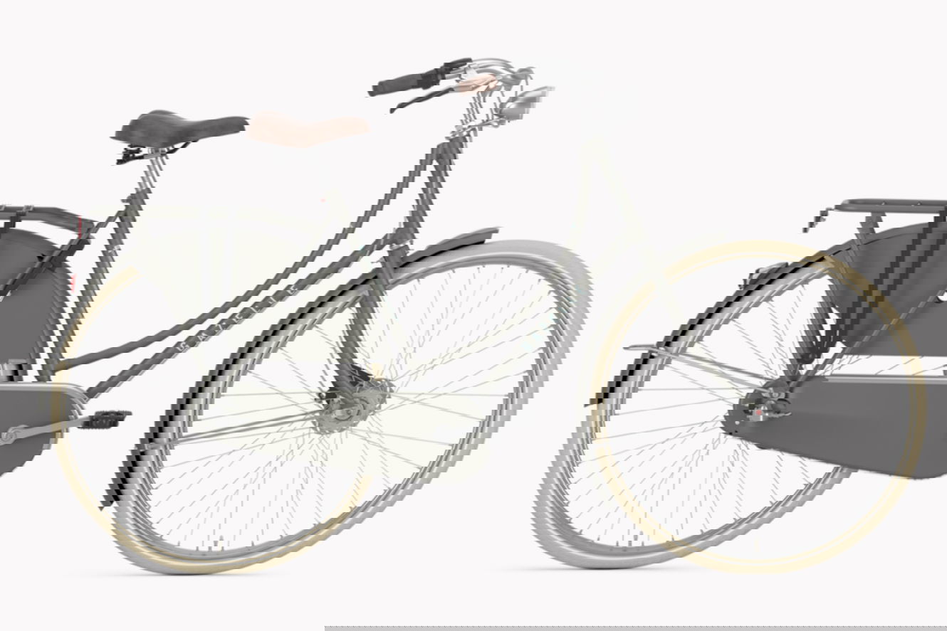 Gazelle Classic RT