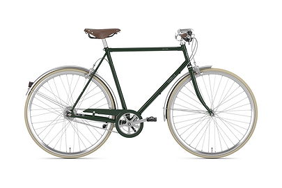 Gazelle Van Stael
