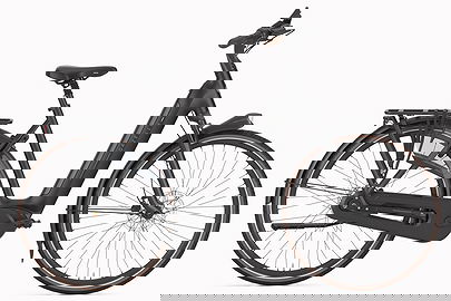 Gazelle Arroyo C8+ Elite 600 RT