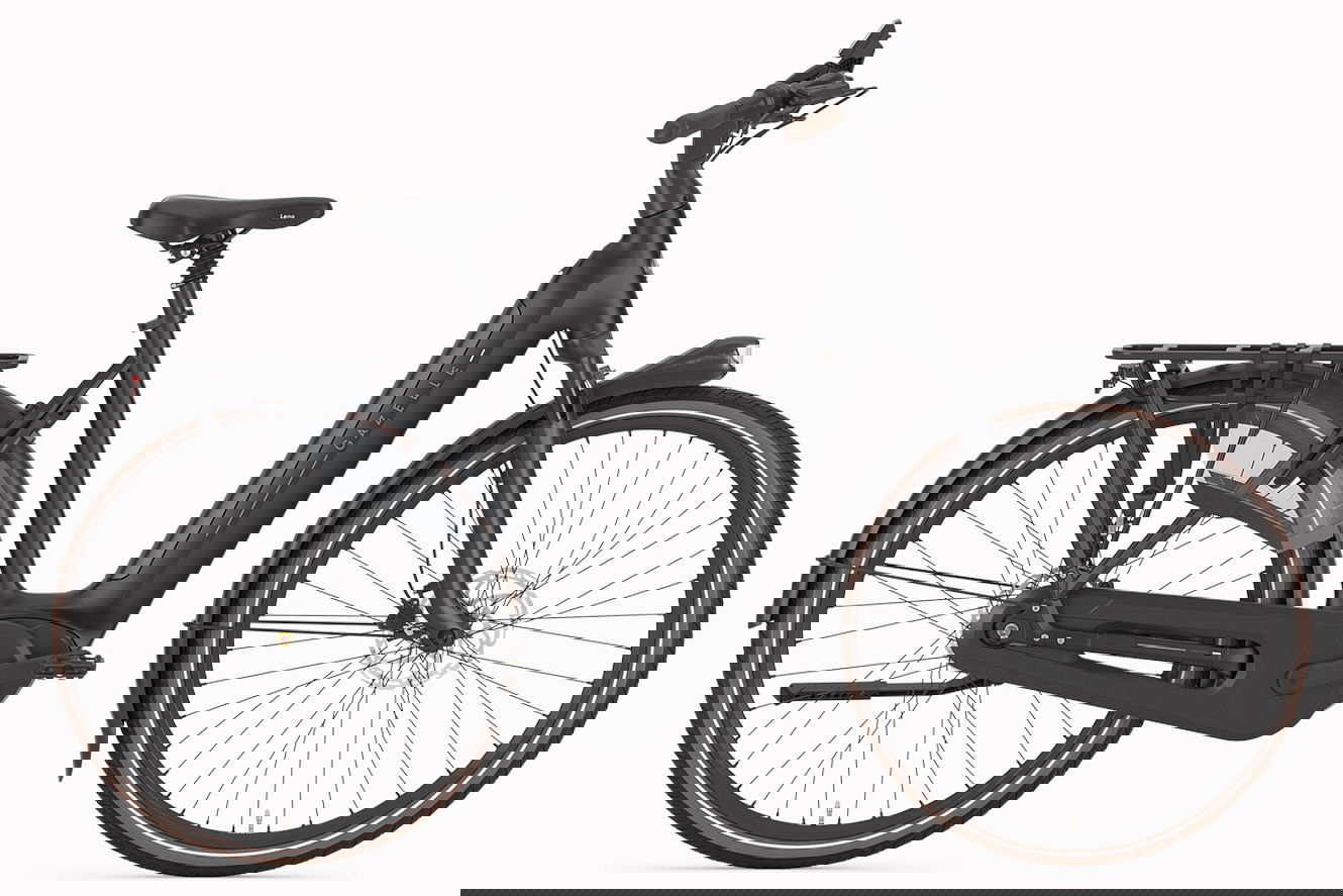 Gazelle Arroyo C8+ Elite 600 RT