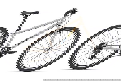 GIANT ARX 24