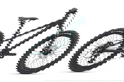GIANT STP 20 FS | V1